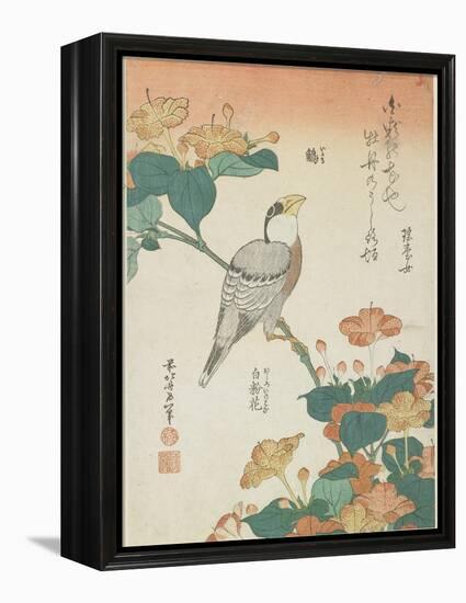 Japanese Grosbeak and Four-O'Cloks, C. 1833-Katsushika Hokusai-Framed Premier Image Canvas