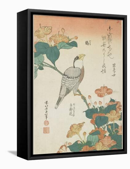 Japanese Grosbeak and Four-O'Cloks, C. 1833-Katsushika Hokusai-Framed Premier Image Canvas