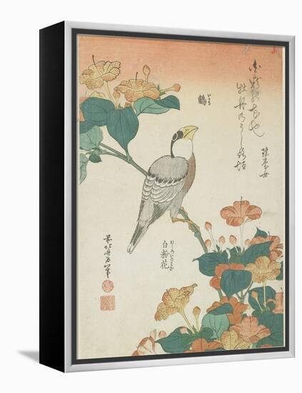 Japanese Grosbeak and Four-O'Cloks, C. 1833-Katsushika Hokusai-Framed Premier Image Canvas