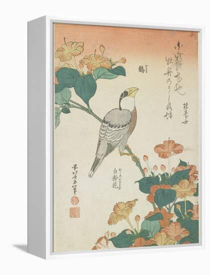 Japanese Grosbeak and Four-O'Cloks, C. 1833-Katsushika Hokusai-Framed Premier Image Canvas