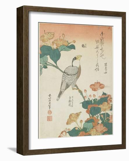 Japanese Grosbeak and Four-O'Cloks, C. 1833-Katsushika Hokusai-Framed Giclee Print