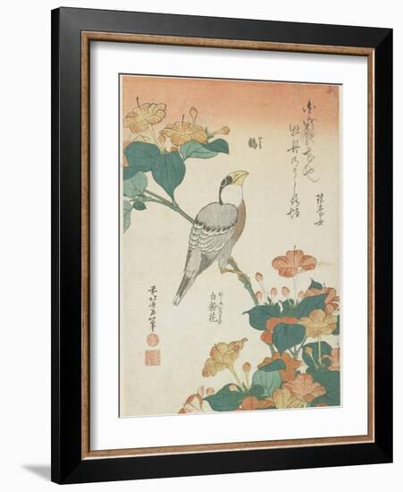 Japanese Grosbeak and Four-O'Cloks, C. 1833-Katsushika Hokusai-Framed Giclee Print