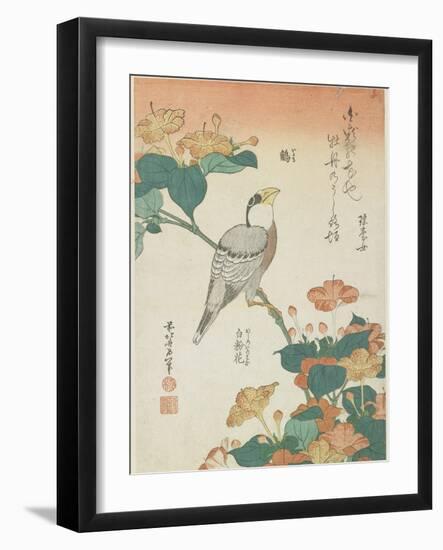 Japanese Grosbeak and Four-O'Cloks, C. 1833-Katsushika Hokusai-Framed Giclee Print