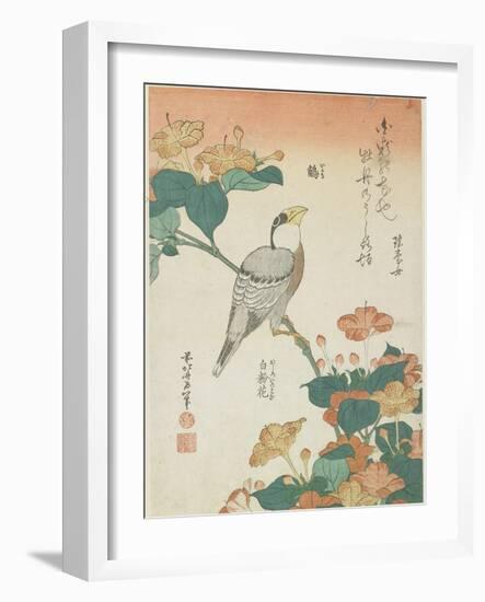 Japanese Grosbeak and Four-O'Cloks, C. 1833-Katsushika Hokusai-Framed Giclee Print