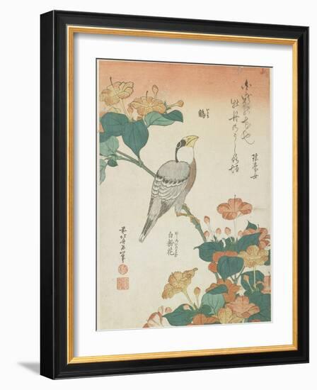 Japanese Grosbeak and Four-O'Cloks, C. 1833-Katsushika Hokusai-Framed Giclee Print