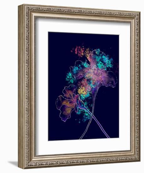 Japanese Hanabi Flowers-Stella Chang-Framed Art Print