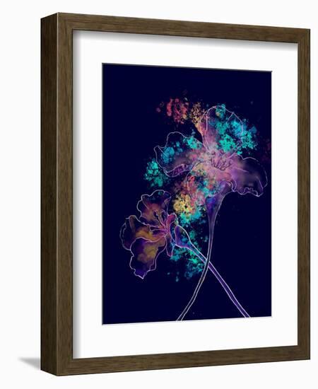 Japanese Hanabi Flowers-Stella Chang-Framed Art Print