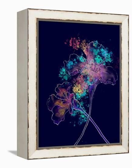 Japanese Hanabi Flowers-Stella Chang-Framed Stretched Canvas