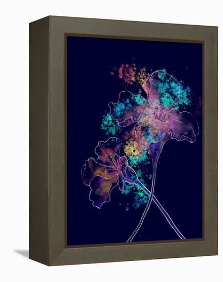 Japanese Hanabi Flowers-Stella Chang-Framed Stretched Canvas