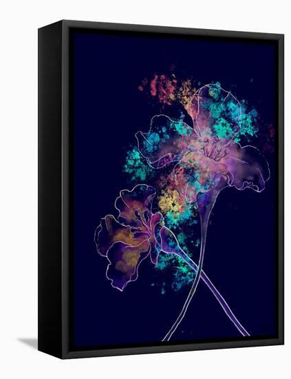 Japanese Hanabi Flowers-Stella Chang-Framed Stretched Canvas