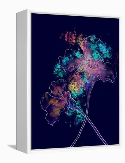 Japanese Hanabi Flowers-Stella Chang-Framed Stretched Canvas