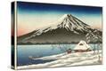 Stretched Canvas Print