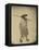 Japanese in Mackintosh, c.1865-Felice Beato-Framed Premier Image Canvas
