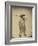 Japanese in Mackintosh, c.1865-Felice Beato-Framed Photographic Print