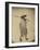 Japanese in Mackintosh, c.1865-Felice Beato-Framed Photographic Print