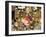 Japanese Influence-Aberrant Art-Framed Giclee Print