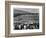 Japanese Internment, 1943-Ansel Adams-Framed Giclee Print