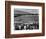 Japanese Internment, 1943-Ansel Adams-Framed Giclee Print