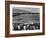 Japanese Internment, 1943-Ansel Adams-Framed Giclee Print