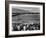 Japanese Internment, 1943-Ansel Adams-Framed Giclee Print