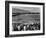 Japanese Internment, 1943-Ansel Adams-Framed Giclee Print