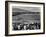 Japanese Internment, 1943-Ansel Adams-Framed Giclee Print