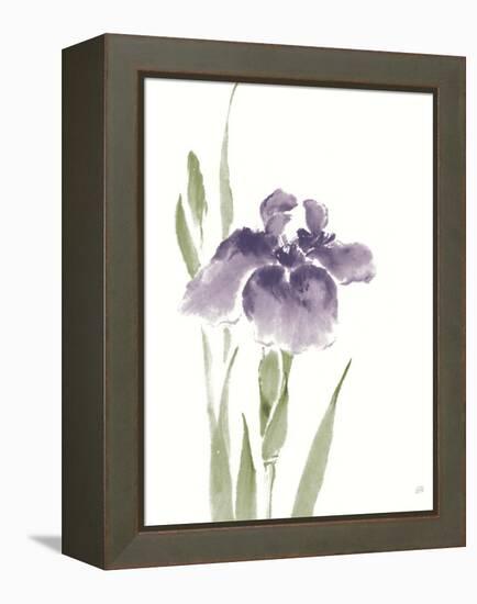 Japanese Iris III Purple Crop-Chris Paschke-Framed Stretched Canvas