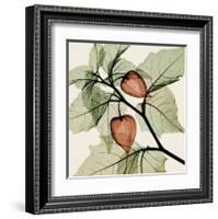 Japanese Lantern-Steven N^ Meyers-Framed Art Print