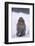 Japanese Macaque in Snow-DLILLC-Framed Photographic Print