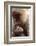 Japanese Macaque (Macaca Fuscata) Nursing One Month Old Baby-Yukihiro Fukuda-Framed Photographic Print