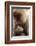 Japanese Macaque (Macaca Fuscata) Nursing One Month Old Baby-Yukihiro Fukuda-Framed Photographic Print