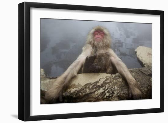 Japanese Macaque (Macaca Fuscata) Relaxing in Hot Spring in Jigokudani-Mark Macewen-Framed Photographic Print