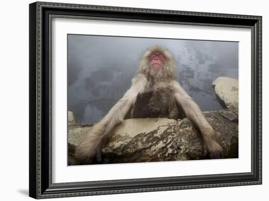 Japanese Macaque (Macaca Fuscata) Relaxing in Hot Spring in Jigokudani-Mark Macewen-Framed Photographic Print