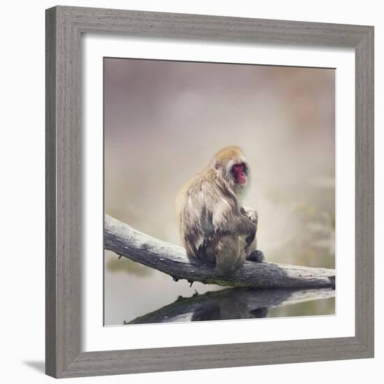 Japanese Macaque on a Log-Svetlana Foote-Framed Photographic Print