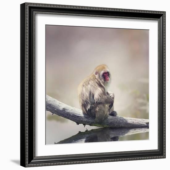 Japanese Macaque on a Log-Svetlana Foote-Framed Photographic Print