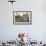 Japanese Macaque, Snow Monkey, Joshin-etsu NP, Honshu, Japan-Peter Adams-Framed Photographic Print displayed on a wall