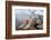 Japanese Macaque, Snow Monkey, Joshin-etsu NP, Honshu, Japan-Peter Adams-Framed Photographic Print