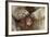 Japanese Macaque - Snow Monkey (Macaca Fuscata) Mother Grooming Four-Day-Old Newborn Baby-Yukihiro Fukuda-Framed Photographic Print