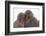 Japanese Macaque with Baby-DLILLC-Framed Photographic Print