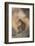 Japanese Macaque-DLILLC-Framed Photographic Print