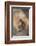 Japanese Macaque-DLILLC-Framed Photographic Print