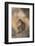 Japanese Macaque-DLILLC-Framed Photographic Print