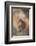 Japanese Macaque-DLILLC-Framed Photographic Print