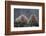 Japanese Macaques in Hot Spring-DLILLC-Framed Photographic Print