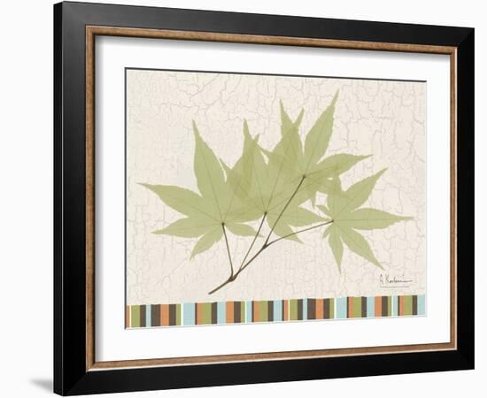 Japanese Maple Colors-Albert Koetsier-Framed Art Print