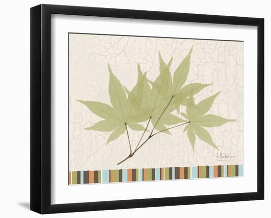 Japanese Maple Colors-Albert Koetsier-Framed Art Print