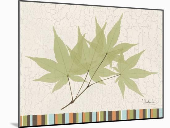 Japanese Maple Colors-Albert Koetsier-Mounted Art Print