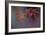 Japanese Maple II-Rita Crane-Framed Photographic Print