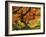 Japanese Maple in Full Fall Color, Portland Japanese Garden, Portland, Oregon, USA-Michel Hersen-Framed Photographic Print