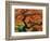 Japanese Maple in Full Fall Color, Portland Japanese Garden, Portland, Oregon, USA-Michel Hersen-Framed Photographic Print